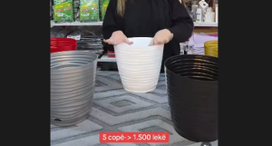 Vazo Monako 3